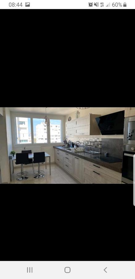 Appartement Laurent Bonnevay 维勒班 外观 照片
