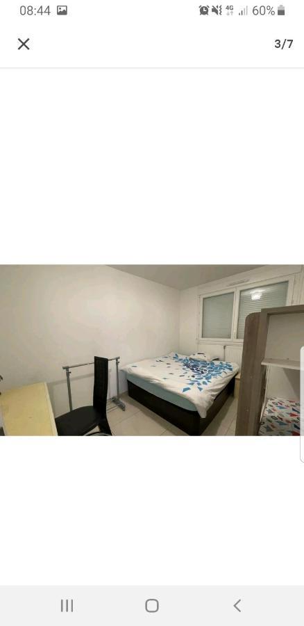 Appartement Laurent Bonnevay 维勒班 外观 照片